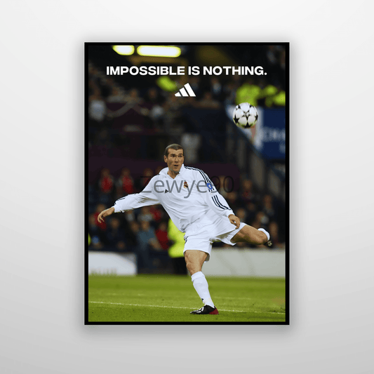 Zinedine Zidane: Impossible is Nothing